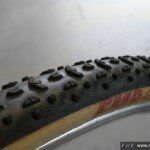 grifo_medium